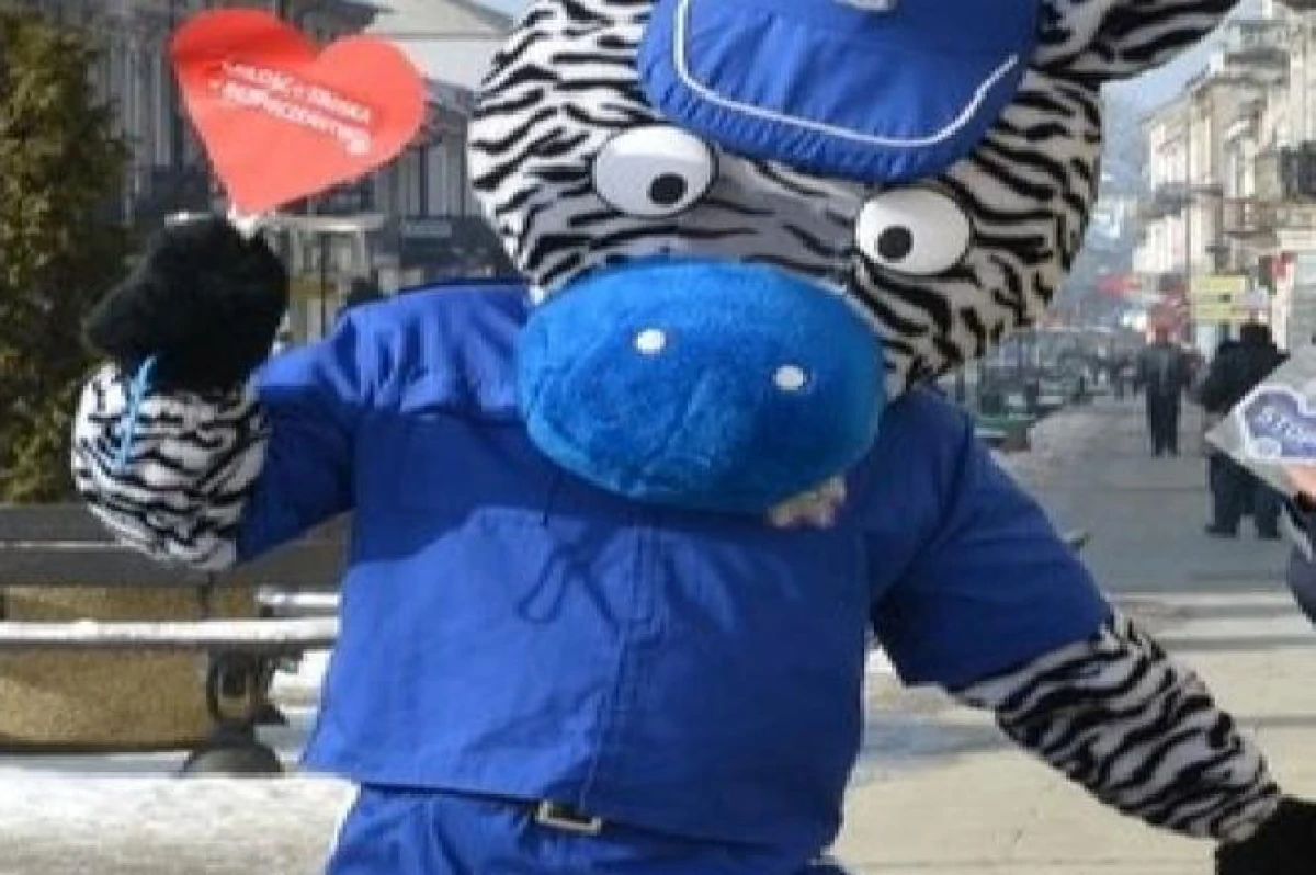 Zdjęcie