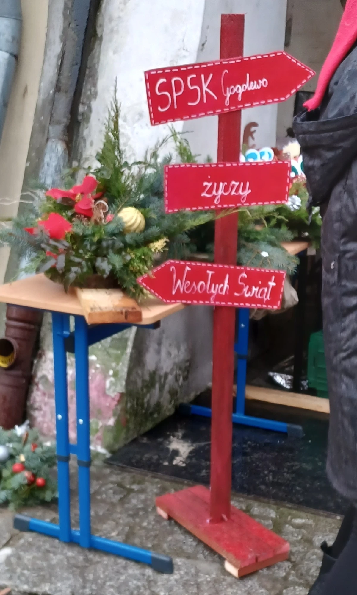 Zdjęcie