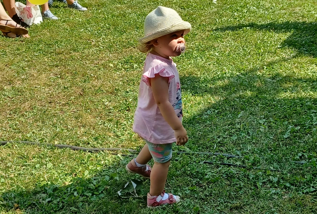 Zdjęcie