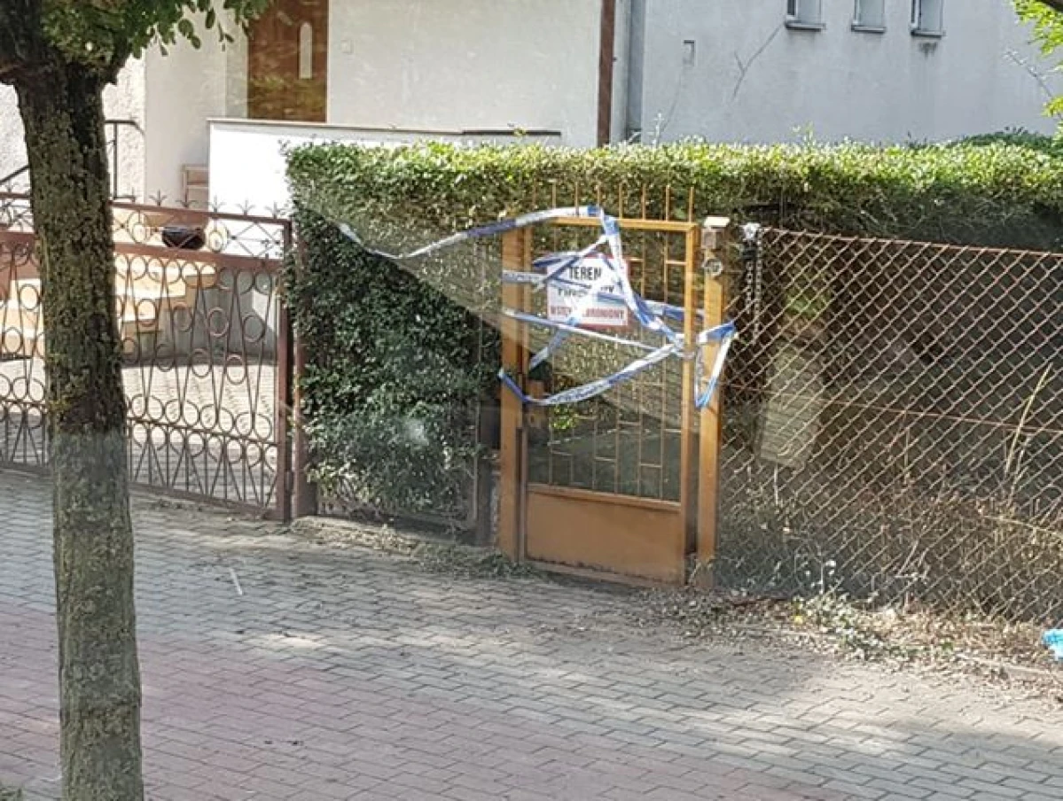 Zdjęcie