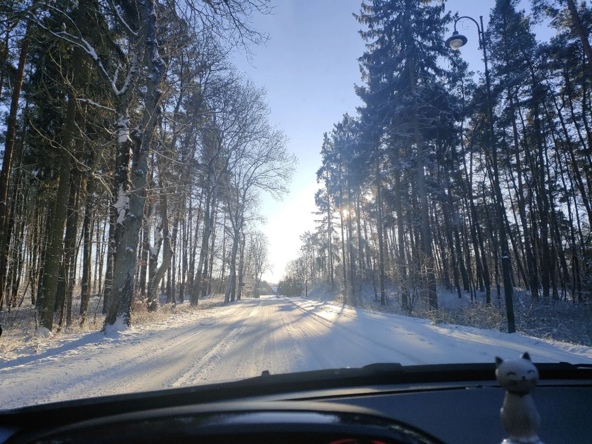 Zdjęcie