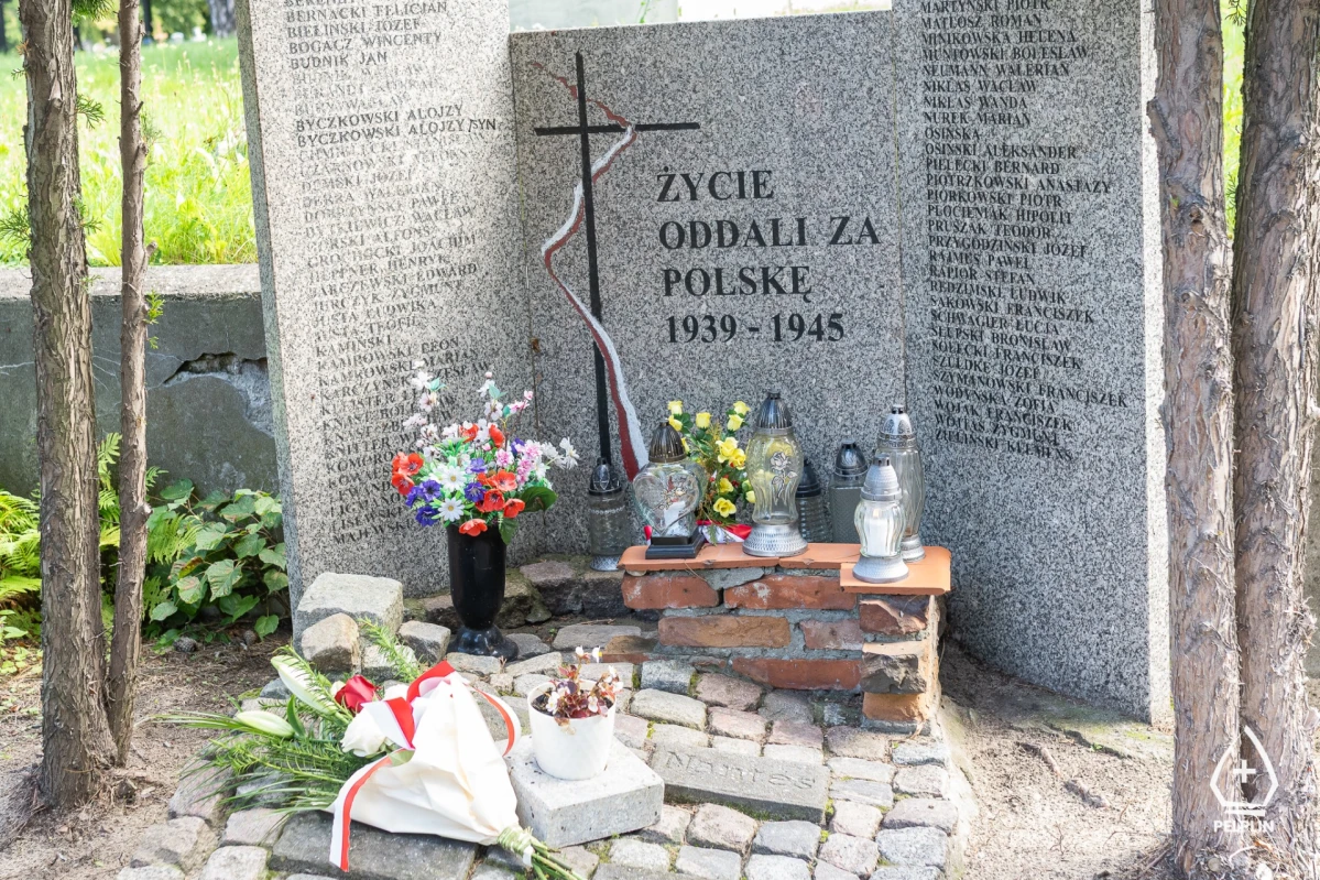 Zdjęcie