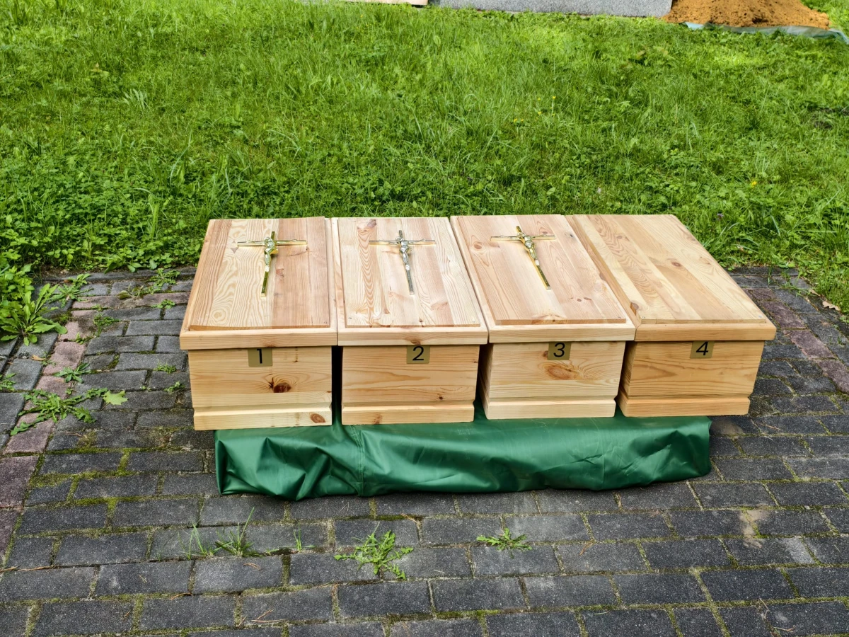 Zdjęcie