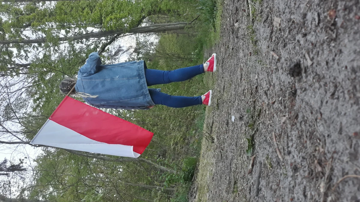 Zdjęcie