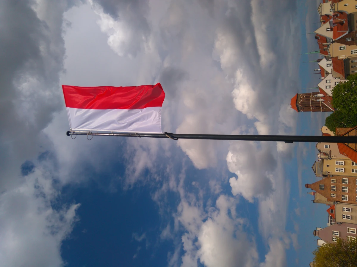 Zdjęcie
