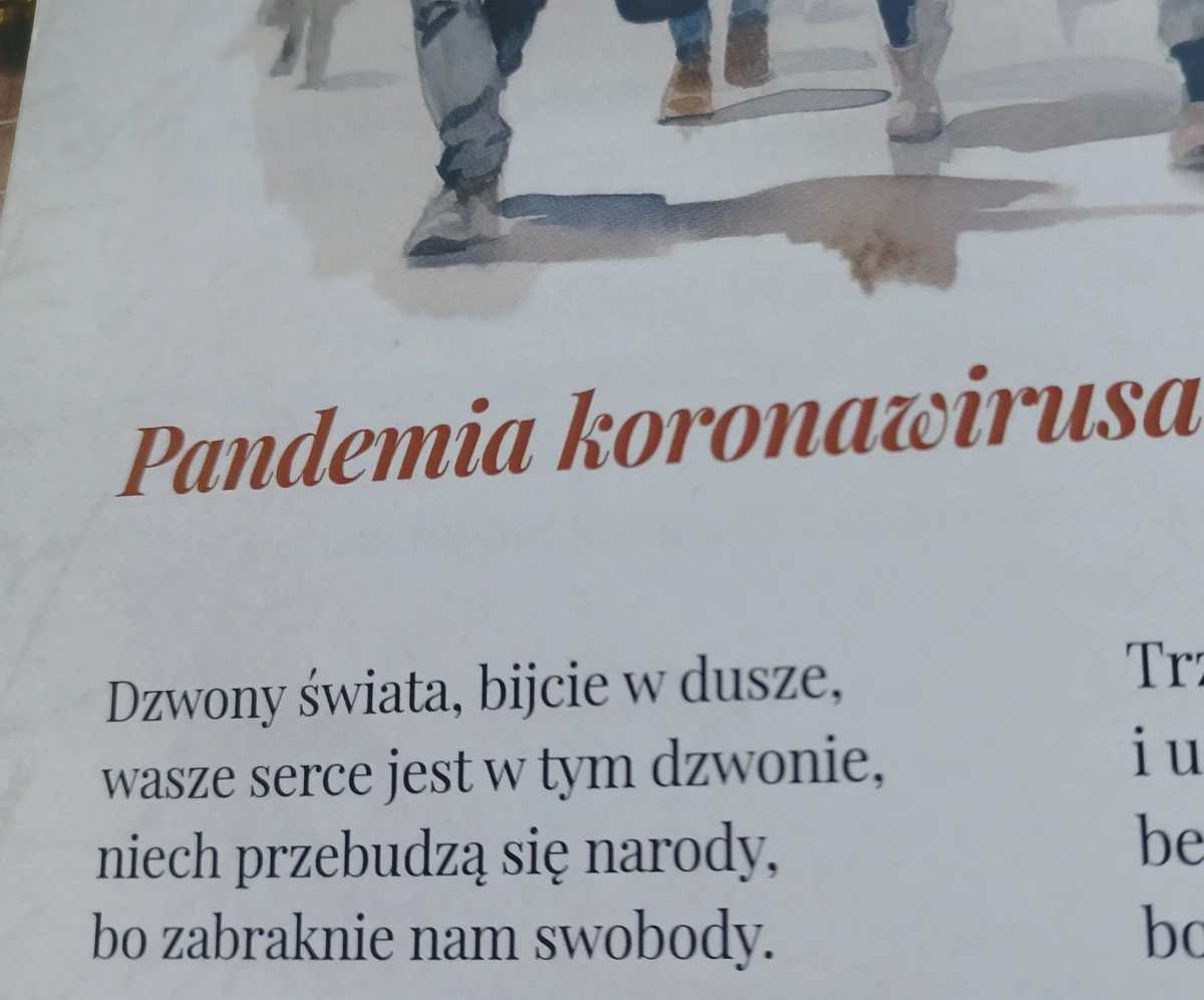 Zdjęcie