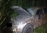 Dachował w polu kukurydzy. Kierowca miał blisko 3,5 promila