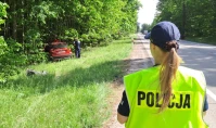 Zderzenie z łosiem na krajowej 22. Dwie osoby trafiły do szpitala