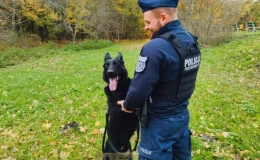 Bohater z Czterema Łapami. Ugo - Pies Policjant ze Starogardu Gdańskiego
