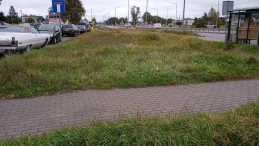 Nowoczesny węzeł w Bolszewie i miliony dla metropolii