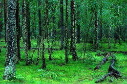 Odkryj naturę z Parkiem Narodowym. XVII Konkurs Wiedzy Przyrodniczej