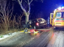 Auto uderzyło w drzewo! 5 osób poszkodowanych, jedna była zakleszczona w pojeździe