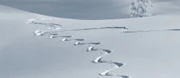 Niespodzianka wiosennej aury. Śnieg w kwietniu?