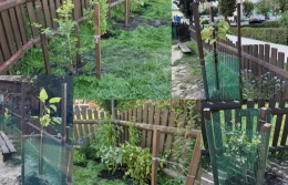 Nowa przestrzeń dla dzieci nabrała zieleni. Jak projekt łączy zabawę z ekologią?