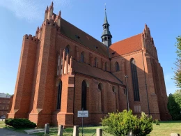 'Aleje Gminy Pelplin'. Dadzą nagrody za najciekawsze ukazanie przyrody