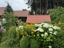 Konkurs na najpiękniejszy ogród w Czersku. Zwycięzcy i inspiracje