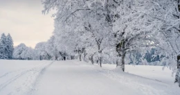 Zima w regionie. Do kiedy potrwają mrozy? [ANKIETA]