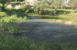 Zaniedbany staw otrzyma nowe życie. Ruszyły pierwsze prace przygotowawcze