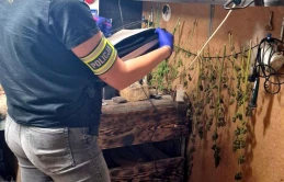 Policjanci przejęli ponad 3 kilogramy narkotyków! Zatrzymanemu grozi do 10 lat więzienia