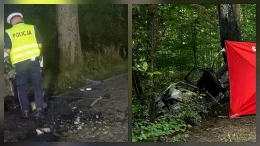Śmiertelny wypadek. Auto zjechało z drogi i uderzyło w drzewo