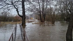 Silne wiatry w powiecie wejherowskim. Straż interweniowała ponad 20 razy