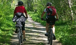 Bezpieczeństwo na rowerze. Kluczowe zasady dla wszystkich użytkowników dróg