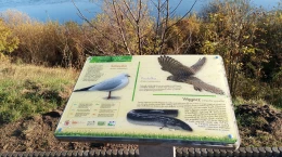 Zakończyli odbudowę ścieżki. Chodzi o obszar Natura 2000