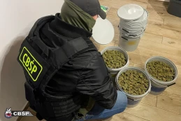 Kokainę przemycali w bananach. Narkogang rozbity