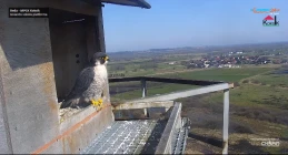 Wyprowadziła się do teścia. Będą mieli potomstwo