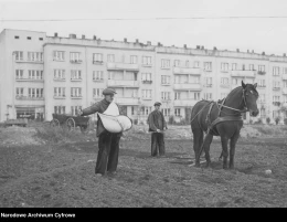 100-lecie Gdyni! Zobaczcie 'miasto z morza' na czarno-białych fotografiach 