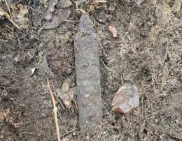 Niewybuchy w lesie w powiecie tucholskim. Policja apeluje o ostrożność