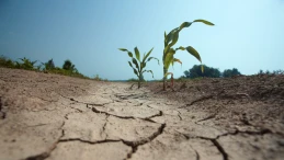 Powstaje nowy plan przeciwdziałania suszy. Trwa zbieranie opinii mieszkańców