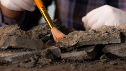 Archeologiczne tajemnice Pomorza. Ważne odkrycie będzie tematem spotkania