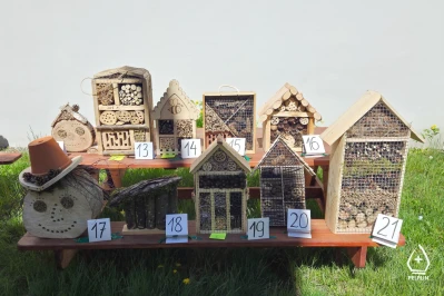 Miniatura