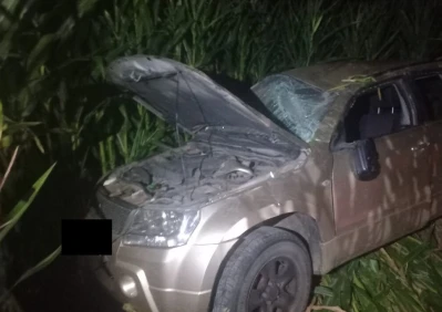 Dachował w polu kukurydzy. Kierowca miał blisko 3,5 promila