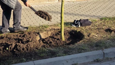 Miniatura