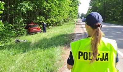 Zderzenie z łosiem na krajowej 22. Dwie osoby trafiły do szpitala