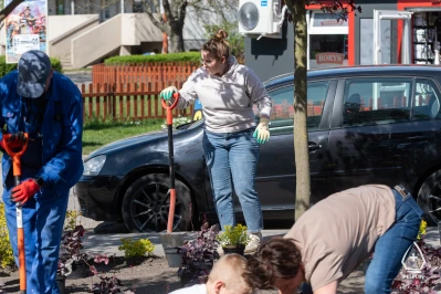 Miniatura