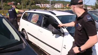Miniatura