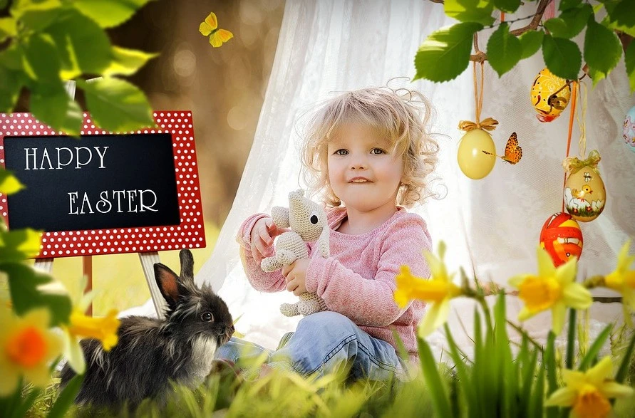 Zdjęcie ilustracyjne/Pixabay.com