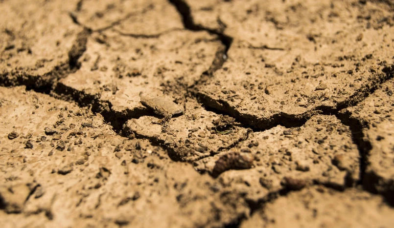 Zdjęcie poglądowe, Pixabay