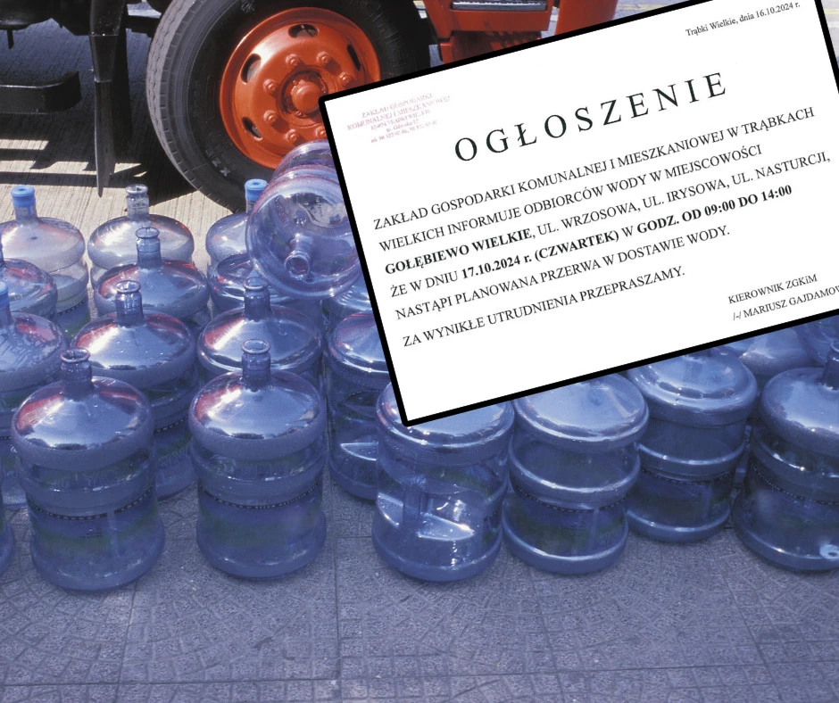 fot. Canva / zdjęcie poglądowe. źródło: Gmina Trąbki Wielkie