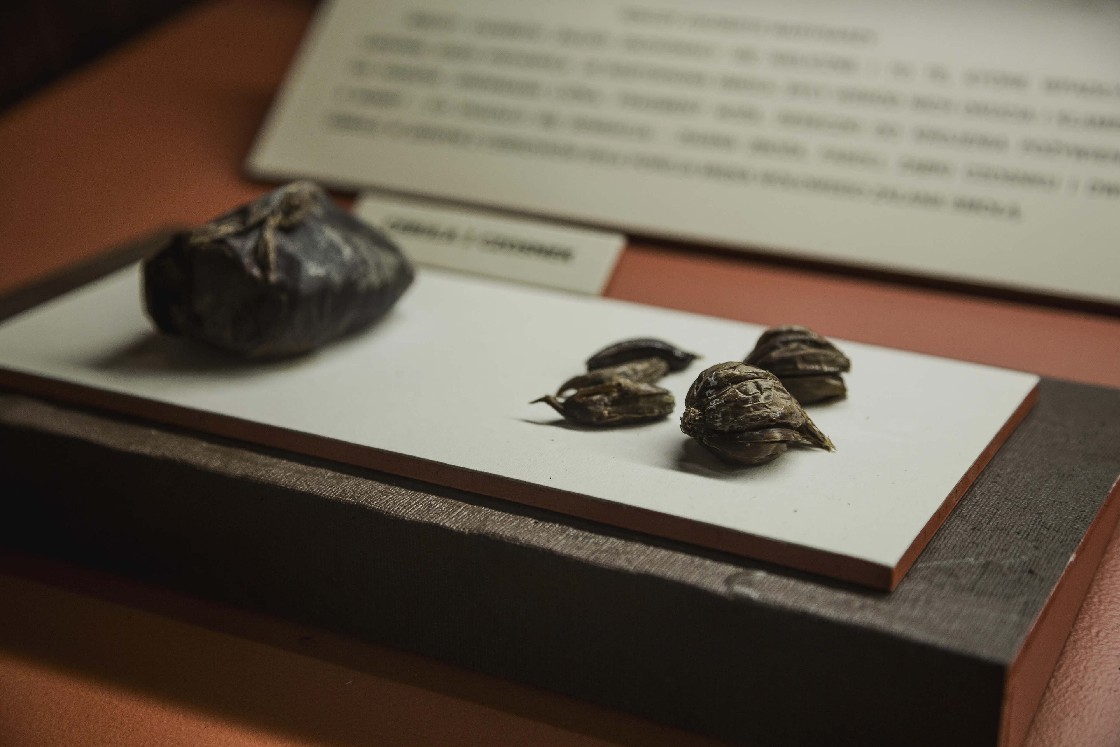źródło: Narodowe Muzeum Morskie