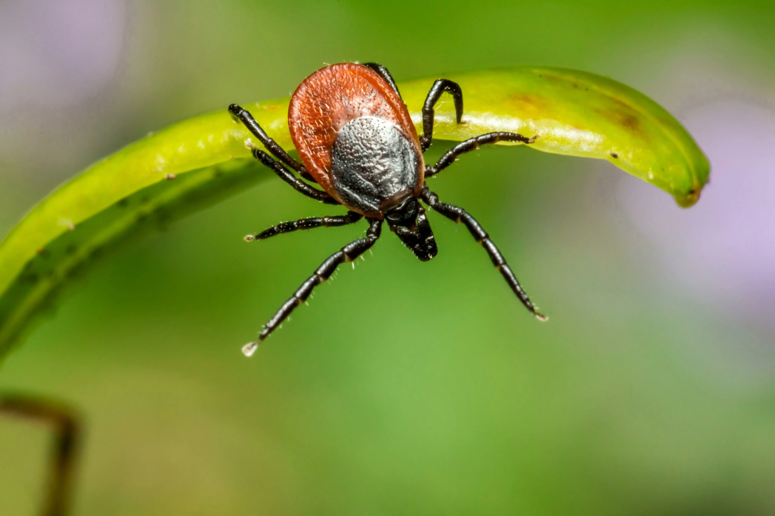 fot. Pexels / zdjęcie poglądowe