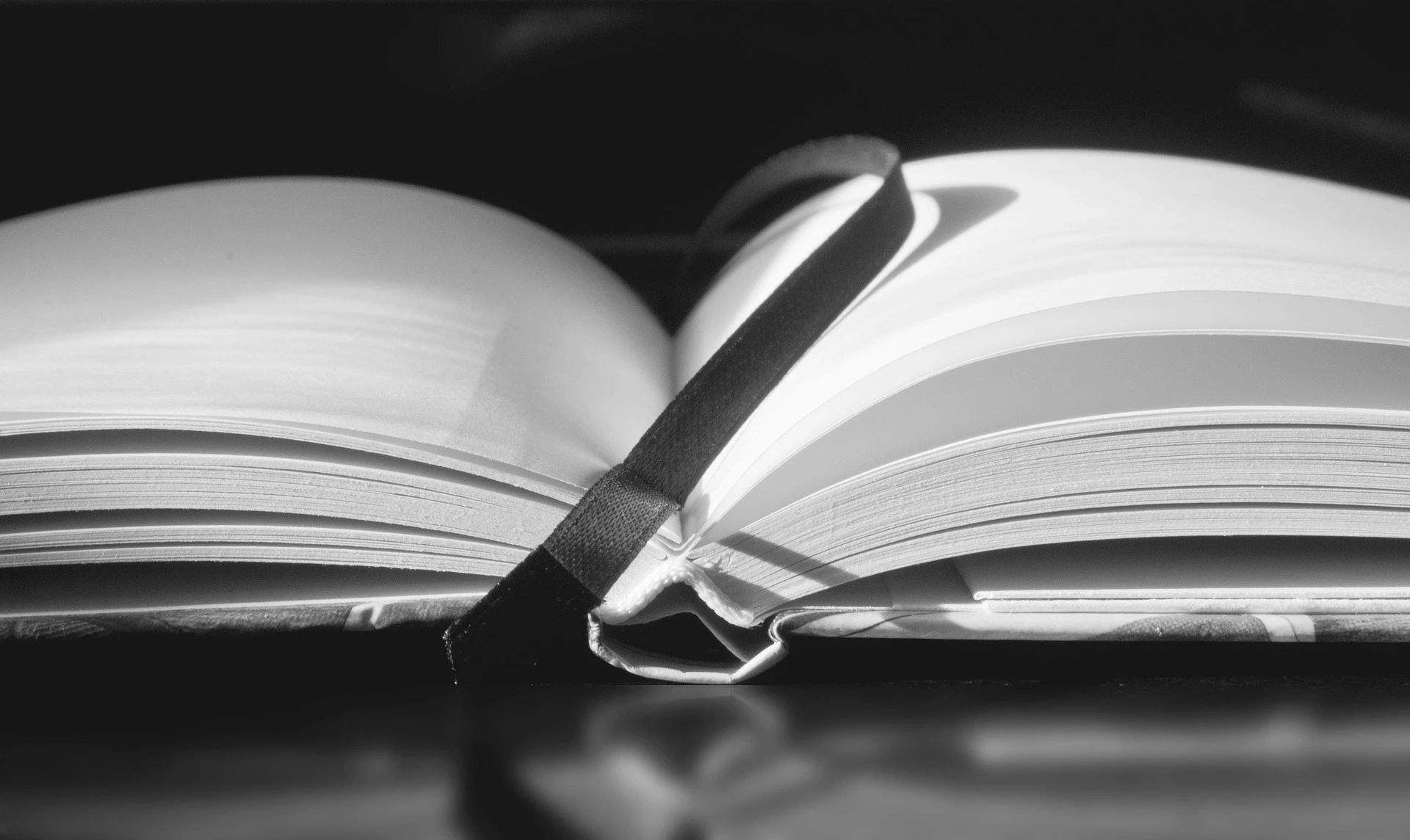 źródło: pixabay.com (zdjęcie ilustracyjne)