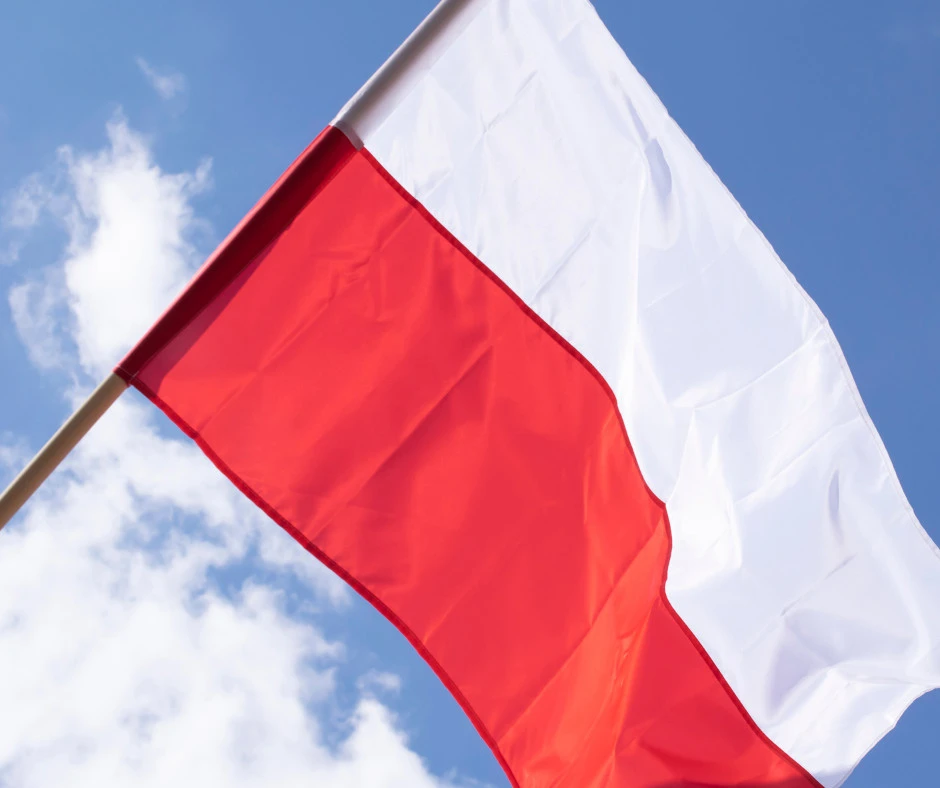 fot. Canva / zdjęcie poglądowe
