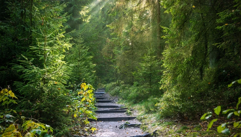 Zdjęcie poglądowe, Pixabay