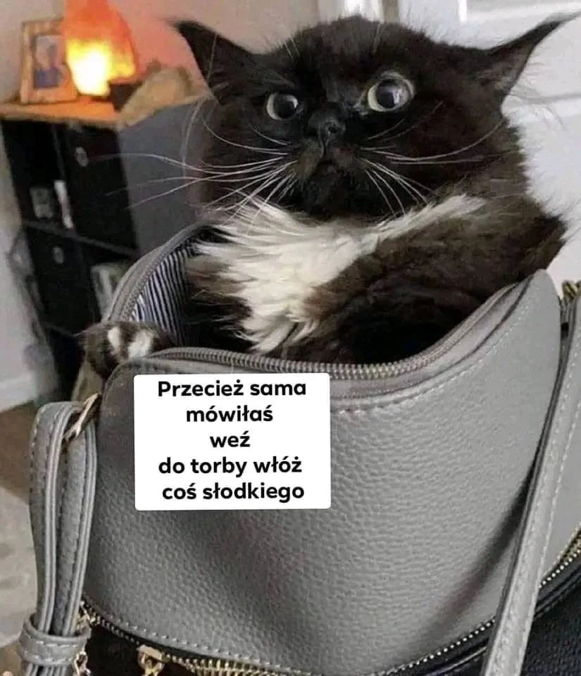 Fot. Internet
