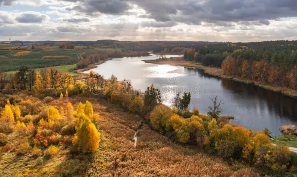 Zdjęcie poglądowe/Pixabay