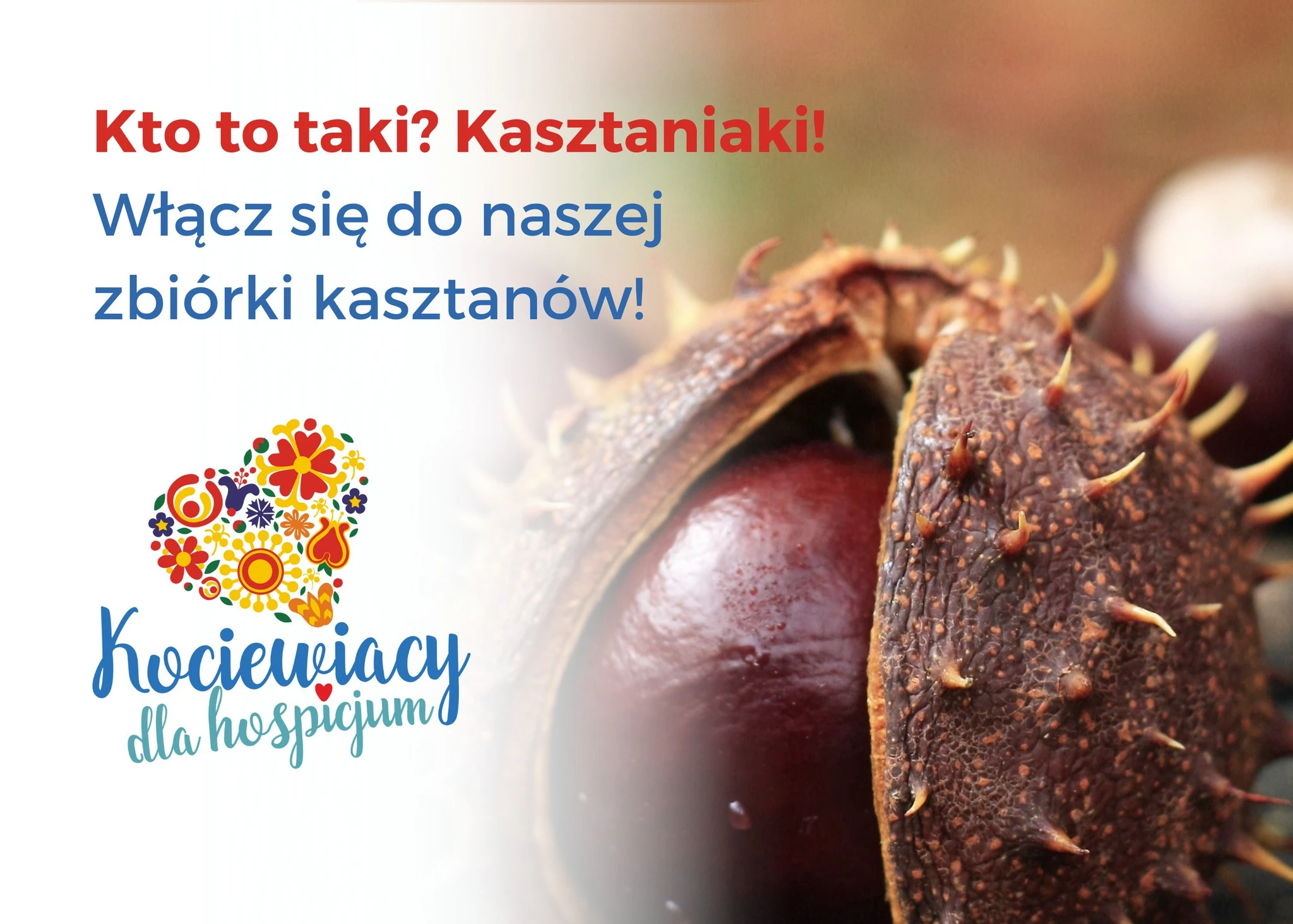 Fot. Fundacja Kociewiacy dla hospicjum 